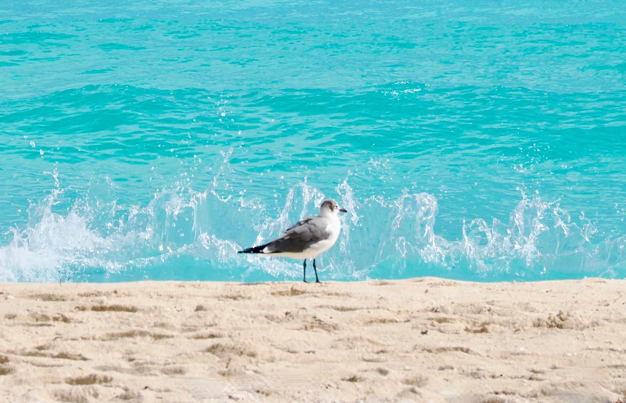 Solymar Beach Condos Cancún Exteriör bild